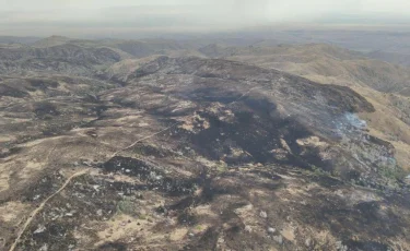 Көрші елде тұтанып, Жамбыл облысына тараған дала өрті сөндірілді