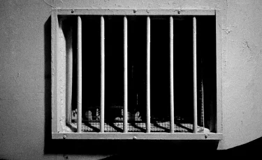 Терроризмді насихаттаған шымкенттік 7,5 жылға сотталды