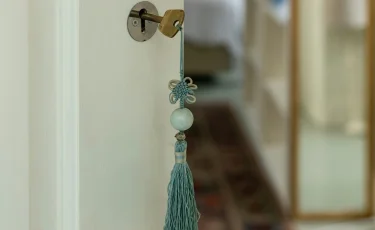 Жамбыл облысында ұрлықты кәсіп еткен күдікті ұсталды