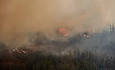 Канада в огне: площадь лесных пожаров сравнима с территорией Хорватии