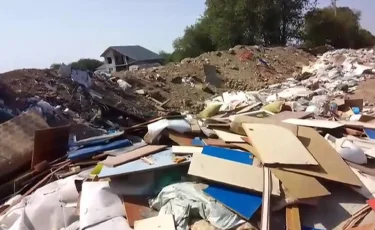 Денсаулығы сыр бере бастады: тұздыбастаулықтар өлексе иісіне тұншығып отыр