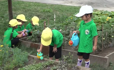 Қала келбеті: бүлдіршіндердің экологиялық мәдениеті қалай қалыптасуда