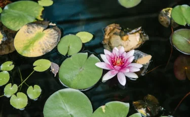 12 млн за красивое фото: в Казахстане ввели новый штраф
