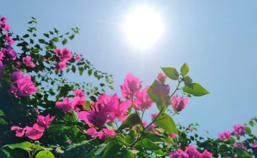 Солнце без пощады: 14 июля будет по-настоящему жарко