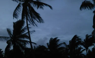 Тайваньда тайфун салдарынан 500-ден астам адам зардап шекті