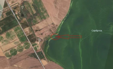 Алматы облысында жоғалған әскери тікұшақтың сынықтары табылды