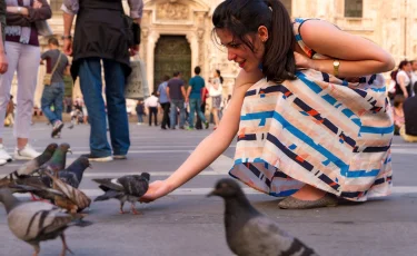 Всё, что вы не знали о штрафах: как не попасть на деньги в другой стране