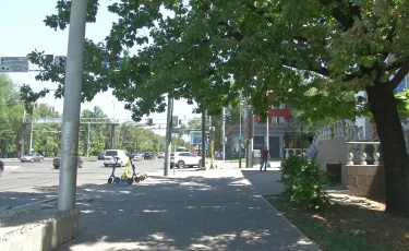 Қандаламен күрес: Алматыда 2 млн-нан астам ағаш өңделеді