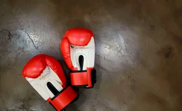 Будапештте күрес түрлерінен өтетін халықаралық турнирге кімдер қатысады