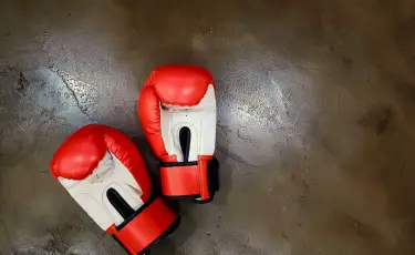 Будапештте күрес түрлерінен өтетін халықаралық турнирге кімдер қатысады