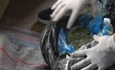 ШҚО-да ірі көлемде есірткі тәркіленді