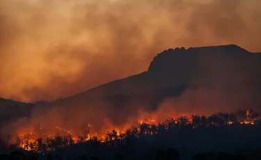 Лесные пожары охватили Испанию и Францию