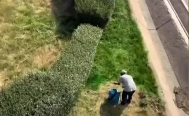 Тыңайтқыш-бояу шашылды: елді алаңдатқан мәселеге қатысты Медеу ауданының әкімі түсінік берді