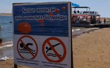 Шемішке шағуға шектеу қойыңыздар: Шардара жағажайы қалай тазартылады