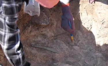 Cақ дәуіріне тиесілі сирек кездесетін екі қола пышақ табылды