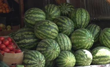 Фруктовая ловушка: когда арбуз и дыня могут навредить здоровью