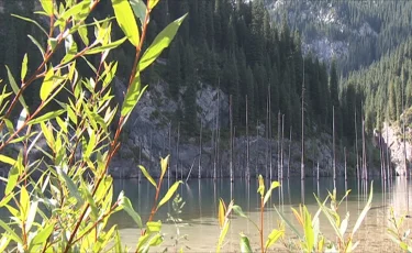 Ішкі туризм: бірқатар лауазымды тұлғалар жауапкершілікке тартылды