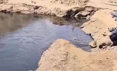 Маңғыстауда мұнай қалдығы төгілген жерге тексеру жүргізілмек