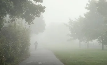 Глобальное потепление: на Земле появилось два новых сезона