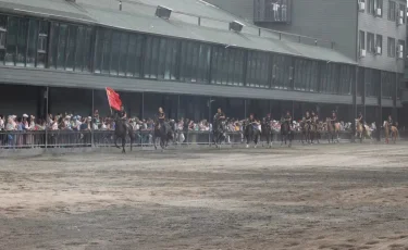 "Небесные" скакуны: в уникальном экопарке содержатся свыше 600 элитных пород лошадей