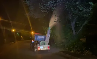 Биологиялық өңдеу: Алматыда мамандар 2,3 миллионнан астам жасыл желекті тексерді