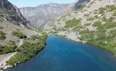 Түркістан облысында жоғалған жасөспірімдер табылды