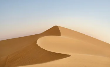 БАӘ 100 миллион мангр ағашын отырғызбақ