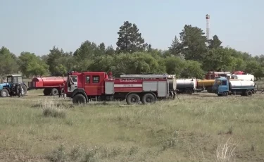 Қауіпті кезең: елімізде 260-тан астам орман өрті тіркелген