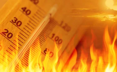 Такого в Узбекистане ещё не было: воздух прогрелся до +43,5°C