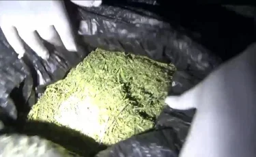 Жамбыл облысында ірі көлемде есірткі сақтаған тұрғын ұсталды