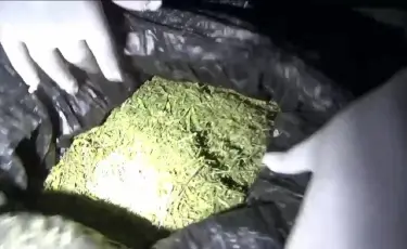 Жамбыл облысында ірі көлемде есірткі сақтаған тұрғын ұсталды