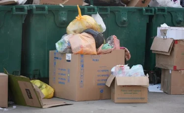 Пышақтаған: Шымкенттегі қоқыс жәшігінен 26 жастағы әйелдің денесі табылды