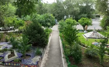 Экология и ландшафтный дизайн: пенсионер из Алматы превратил свой двор в ботанический сад