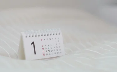 Елімізде тағы бес кәсіби мереке пайда болды