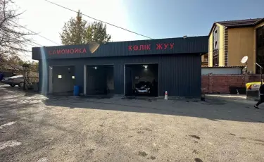 Алматыда тағы бір көлік жуу орны сүрілді