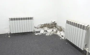 Үйді жөндейміз: алматылықтарды сан соқтырған күдіктіге қатысты қылмыстық іс қозғалды