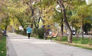 Петропавлда жасы жетпістен асқан зейнеткер университетте білім алмақ