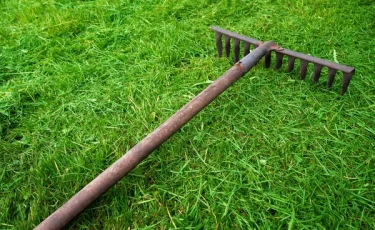 Семейный конфликт: жительница Семея ударила мужа кочергой