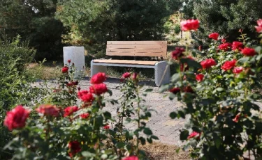 Благодаря программе БНУ в Алатауском районе появляются места притяжения