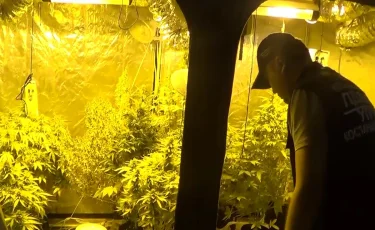Наркоферма в подвале: костанаец оборудовал фитолабораторию для конопли