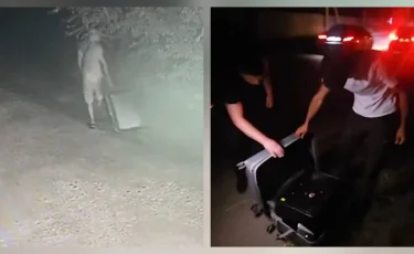 Чемоданный вор: крупная квартирная кража раскрыта в Алматы (видео)