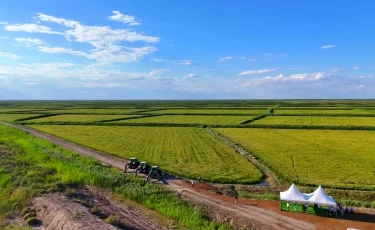 Трансшекаралық өзендер: Қызылорда облысынадағы су тапшылығы екі аптада шешімін таппақ