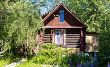 Какие работы сделать на даче осенью: советы дачникам