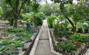 Қала келбеті: Алматыда 300 түрлі өсімдік өсетін аула барын білесіз бе