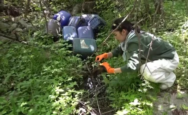 Таза Қазақстан: 800 мың гектардан аса аумақ тазартылды