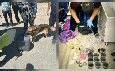Почти полтора килограмма мефедрона изъяли полицейские в Кызылорде