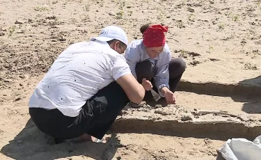 Түркістан облысында археологтар құнды жәдігер тапты