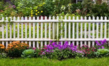 Как сажать растительность в саду, чтобы не ссориться с соседями