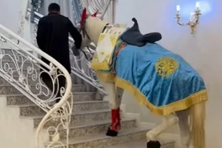 Понты выше человечности: в Шымкенте коня подняли по лестнице ресторана