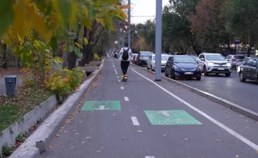 Самокат мәселесі: кикшеринг басшыларына қатысты шаралар қабылданбақ